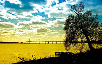 The Tree and Lake !!!, golden, wds, tree, lake, abstract, cg, nature, sky HD wallpaper