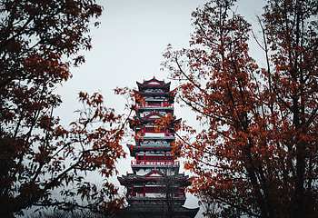 Trees, Architecture, Building, Miscellanea, Miscellaneous, Pagoda, Temple HD wallpaper