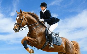Equitation sports, Horse jumping, Equestrianism, Outdoor recreation HD wallpaper