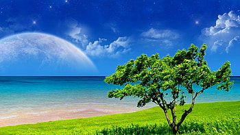 Field, Fantasy, Landscape, Sea, Sky, Tree HD wallpaper