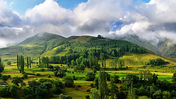Kaсkar Mountains, Cypress Tree HD wallpaper