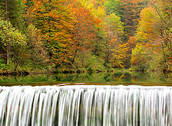 Cool Waterfall, , trees, waterfall, cool, beautiful HD wallpaper