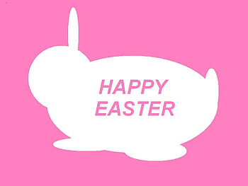 Easter Bunny, greeting, pink, white, easter, rabbit HD wallpaper