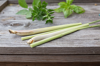 Grow lemon grasses, Hunker, Lemongrass HD wallpaper
