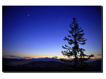 Night, nature, 3d HD wallpaper