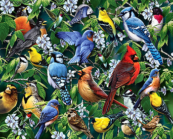 Birds and Blossoms F1, animal, Cardinals, Nuthatch, avian, Robins, wren, painting, Downy Woodpecker, Hummingbirds, bird, art, Blue Jays, beautiful, Goldfinchs, Meadow Lark, artwork, Bluebirds, wide screen, wildlife, Rose-breasted Grosbeaks, Sparrow, Chickadees HD wallpaper