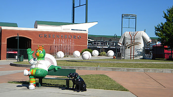 Greensboro Grasshoppers stadium, 3648x2736 HD wallpaper