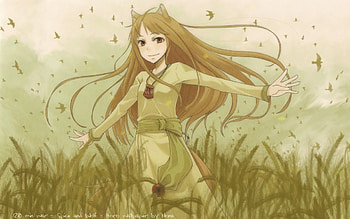 Holo, Spice and Wolf, birds, girl, long hair, tail, dress, wolf ears, anime HD wallpaper