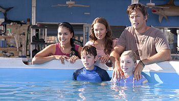 Dolphin Tale , Marine mammal beauty, Inspirational storytelling, Family-friendly film HD wallpaper
