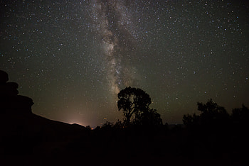 Trees, Night, Dark, Silhouettes, Starry Sky, Milky Way, Outlines HD wallpaper
