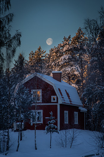 Winter, Nature, Trees, Night, Moon, Snow, House HD phone wallpaper