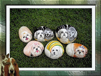 painted stones, dog, cat, animals HD wallpaper