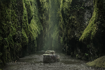 Nature, Rivers, Mashrooms, Rocks, Moss, Stump, Gorge HD wallpaper
