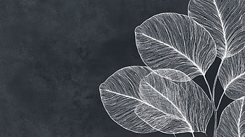 Quad Monochrome Fern — Minimal Line Art, Fern, Monochrome HD wallpaper