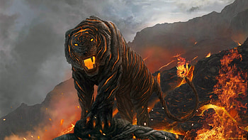 Tiger Fire, tiger, fire HD wallpaper