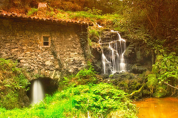 Mill, peacefull, house, landscape, r, beautiful, reflection, trees, autumn, water, forest HD wallpaper