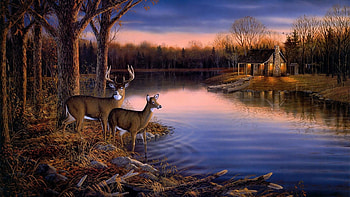 Deer Hunting Border | ... ,landscape HD wallpaper