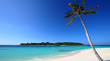 Landscape, Sea, Beach HD wallpaper
