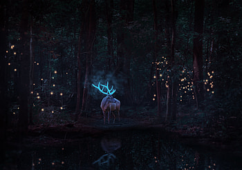 Magical Reindeer In Forest, reindeer, artist, artwork, digital-art, deviantart HD wallpaper