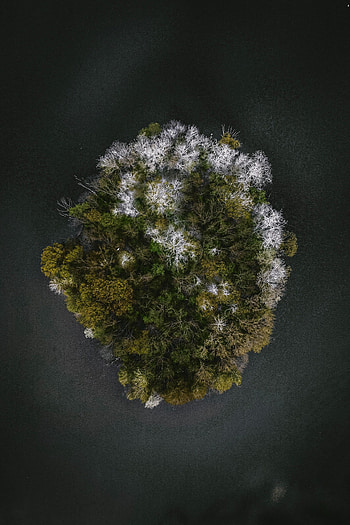 Nature, Trees, View From Above, Island, Seasons HD phone wallpaper