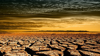 Nature, Land, Earth, Cracks, Crack, Heat, Drought, Wasteland HD wallpaper