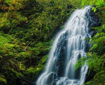 Green Waterfall, cool, waterfall, , green HD wallpaper