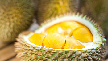 Durian controversy, Grounded flight incident, Strong smell effect, News article HD wallpaper