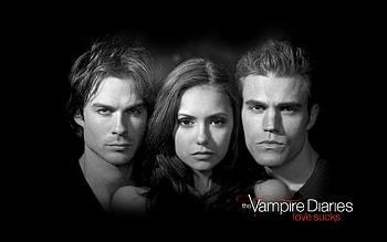 The Vampire Diaries ~ Love Sucks, damon, diaries, love, elena, stefan, vampire, sucks HD wallpaper
