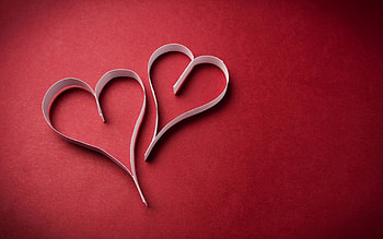 Love, Heart, Paper, Tenderloin, Undercut HD wallpaper