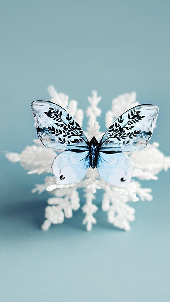 White Butterfly, Adorable, Aesthetic HD phone wallpaper