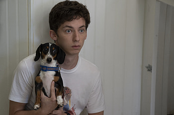 Man and Dog Bond - No Hard Feelings, movie, No Hard Feelings HD wallpaper