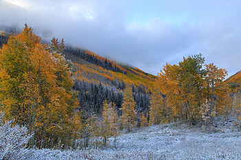 Nature, Trees, Mountains, Autumn, Frost, Hoarfrost HD wallpaper