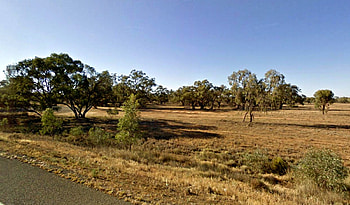 Australia, field, trees, sky, grass HD wallpaper