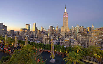 Cities, Palms, Building, View From Above, Skyscrapers, New York, Ny HD wallpaper