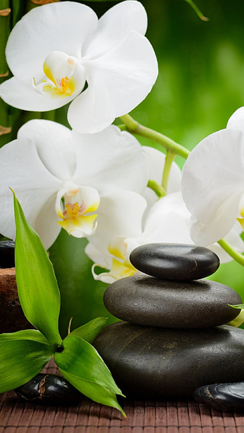 Zen Orchid Spa — Sacred Candle Serenity, orchid, candle, religious HD phone wallpaper