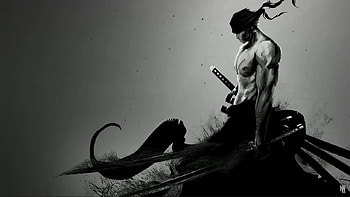 Zoro - Black and White, Zoro Dark HD wallpaper