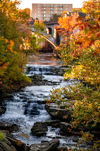 Nature, Rivers, Stones, Autumn, Branches HD phone wallpaper