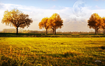 Deslumbre, trees, fields, autumn, andrea andrade HD wallpaper