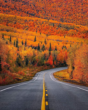 Alaska usa, orange, sky HD phone wallpaper