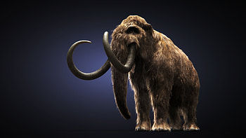 Mammoth , Top backgrounds, Mammoth scenery, backgrounds HD wallpaper