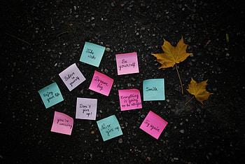 Words, Paper, Lettering, Inscriptions, Stickers, Papers HD wallpaper