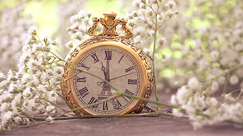 Flowers, Clock, Macro, Miscellanea, Miscellaneous, Small, Pocket HD wallpaper
