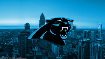 Carolina panthers Group HD wallpaper