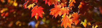 3840 x 1080, Autumn , Breathtaking landscapes, Stunning backgrounds HD wallpaper