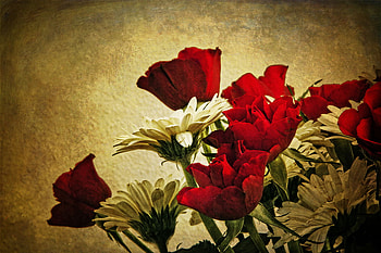 flowers, white, bouquet, roses, red, stil life, vintage, daisies HD wallpaper