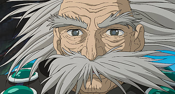 Enigmatic Elder - Anime-Inspired, Anime, The Boy and the Heron, Studio Ghibli HD wallpaper