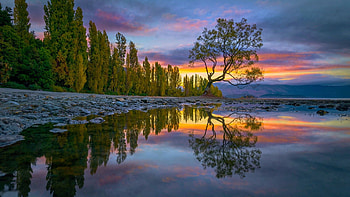Lake Wanaka, New Zealand, sunset, reflections, trees, colors, clouds, sky, water HD wallpaper