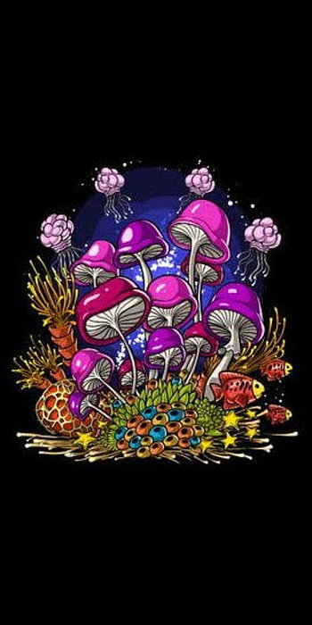 Shrooms, mushrooms, goldfish, fish HD phone wallpaper