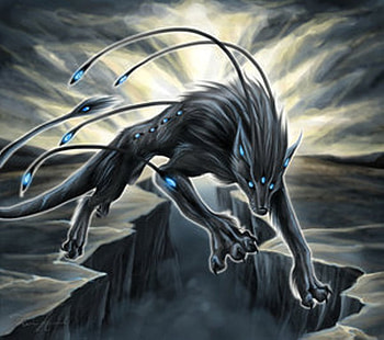 Lupus, blue, river, black, pack, rock HD wallpaper