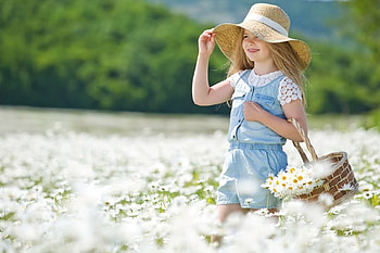basket, girl, field, daisies HD wallpaper